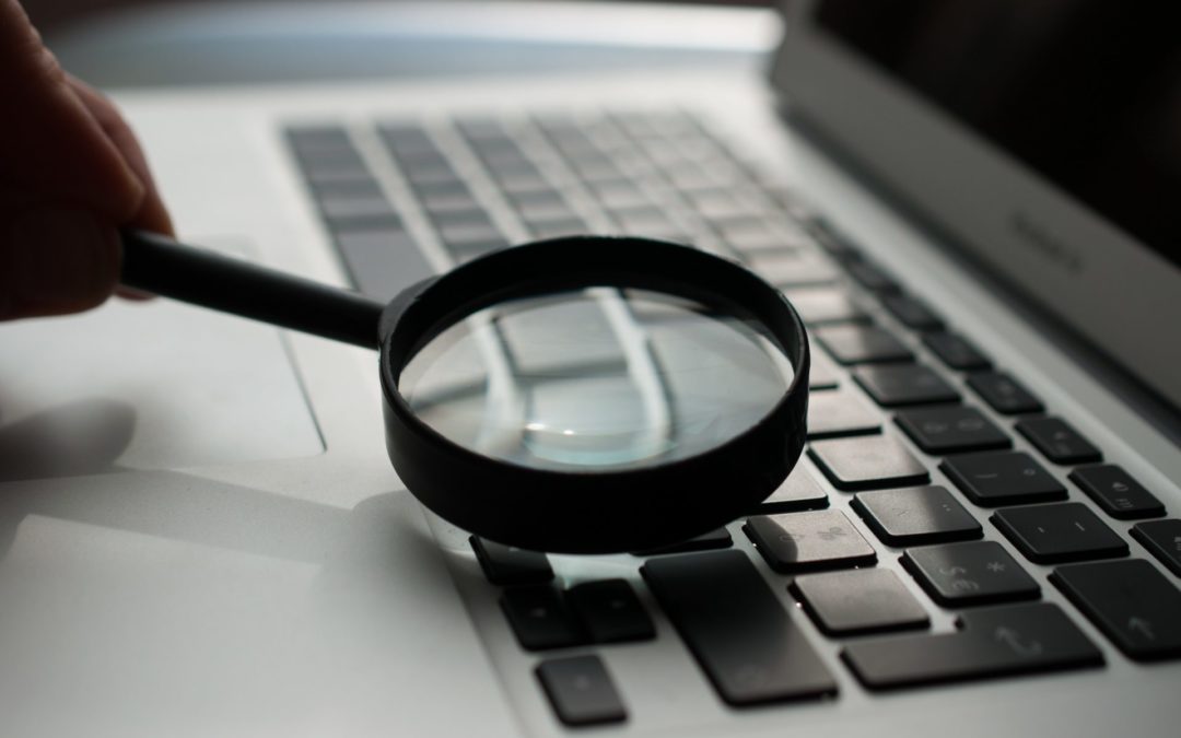 Mehlwürmer als Lebensmittel?