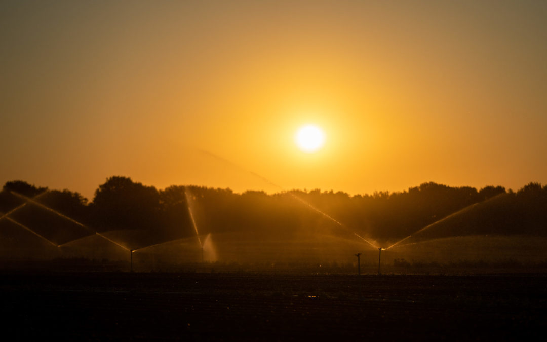 Wasser ist knapp, aber keine allgemeine Rationierung in Sicht