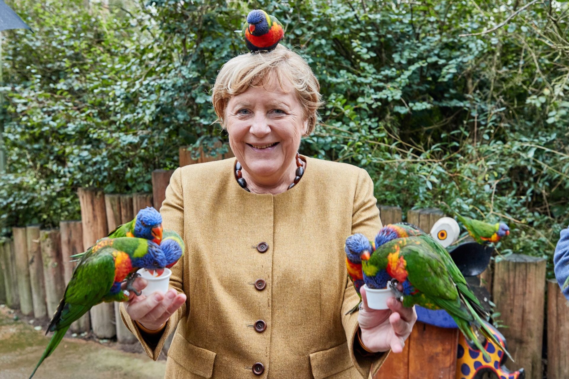 Angela Merkel (CDU), damalige Bundeskanzlerin, füttert australische Loris im Vogelpark Marlow. (zu dpa: "Energiesparen im Vogelpark - Merkels Papageien müssen nicht ausziehen")