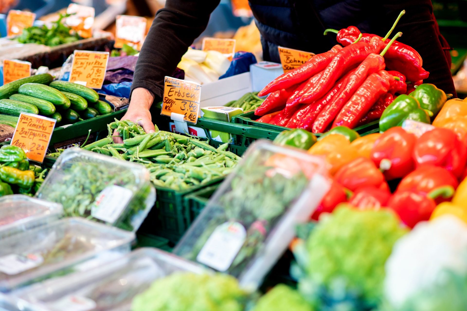 La CE ha asignado 77 millones de euros para ayudar a los agricultores en la República Checa y otros países