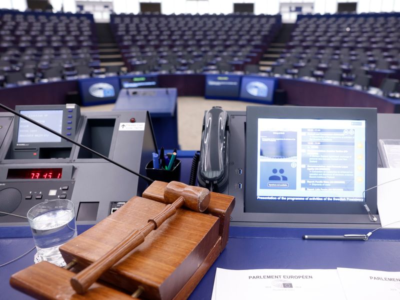 De plenaire vergadering van het Europees Parlement is erin geslaagd een meerderheid te vinden voor de natuurherstelwet. - Foto: Jean-Francois Badias/AP/dpa/dpa-photo-radio