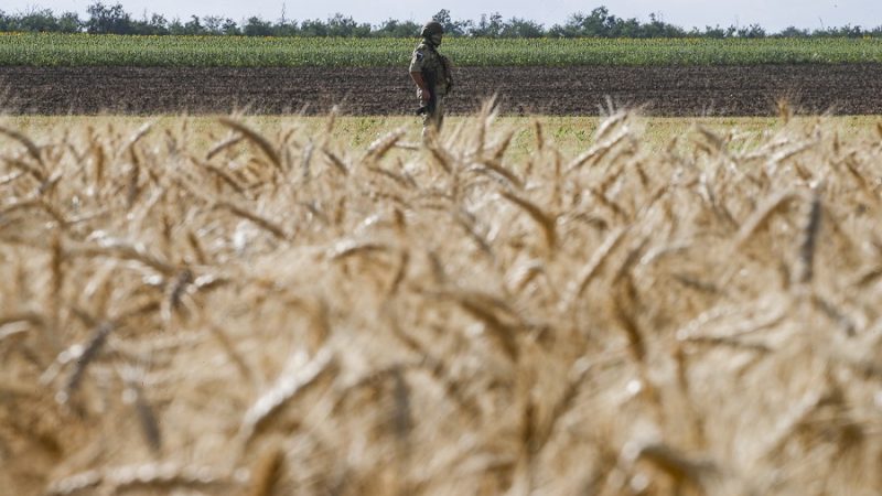 La Comisión Europea advierte contra la prohibición de algunos países de la Unión Europea a productos ucranianos