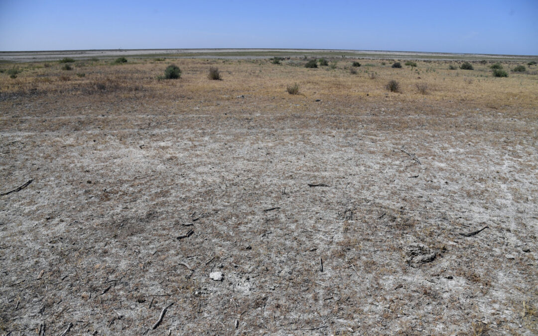 Juli 2023 was warmste maand ooit gemeten