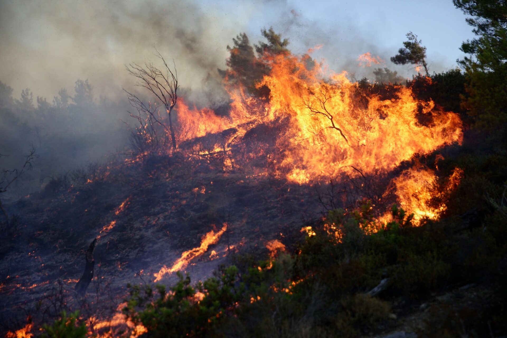 Smoke and flames rise from buring trees in Asklipio village, on Rhodes Island. 
Large fires have broken out on the Greek islands of Rhodes and Corfu and in numerous other regions of Greece, which has been suffering a prolonged drought.