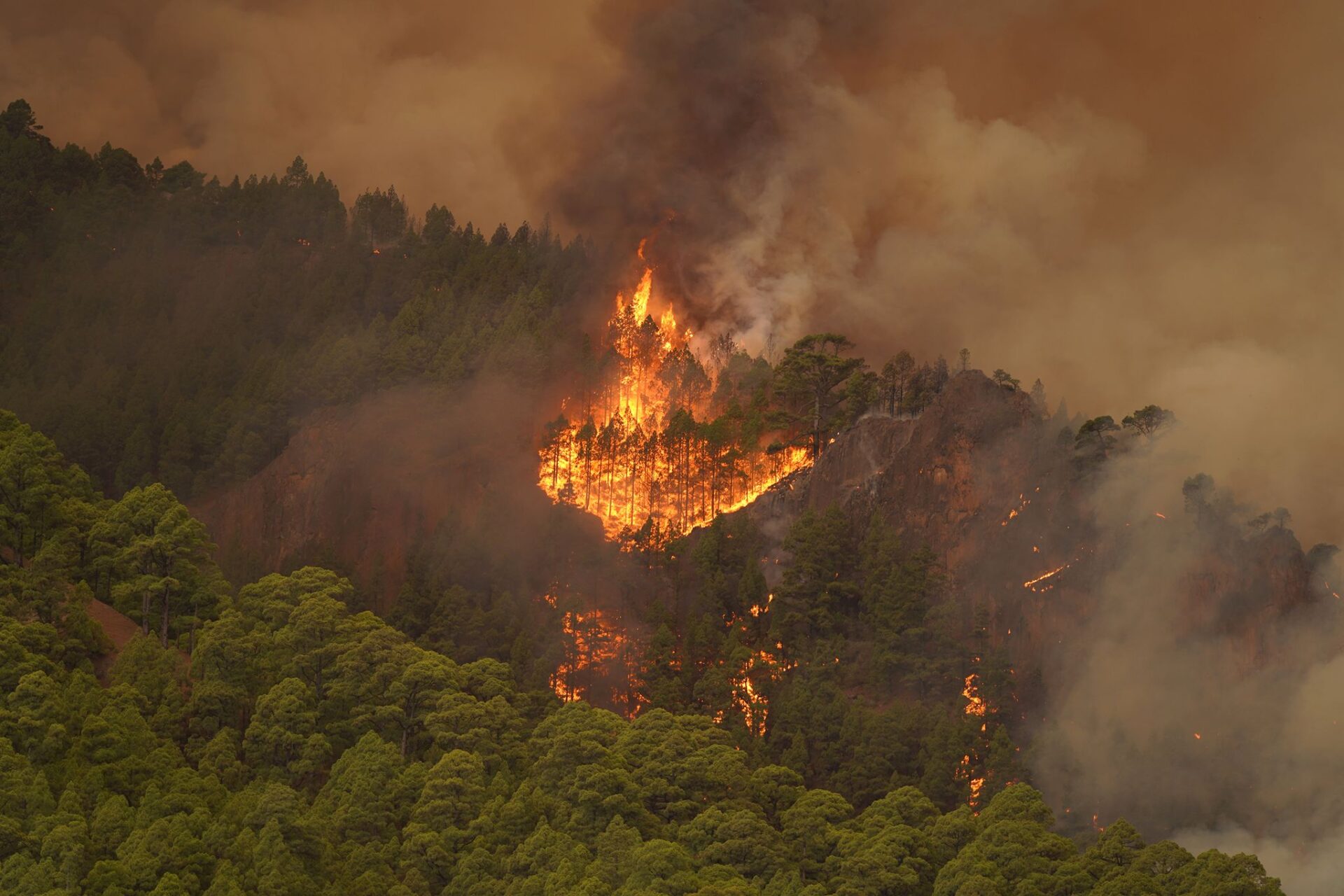 Smoke and flames rise during a wildfire in Tenerife between the towns of Candelaria and Arafo.