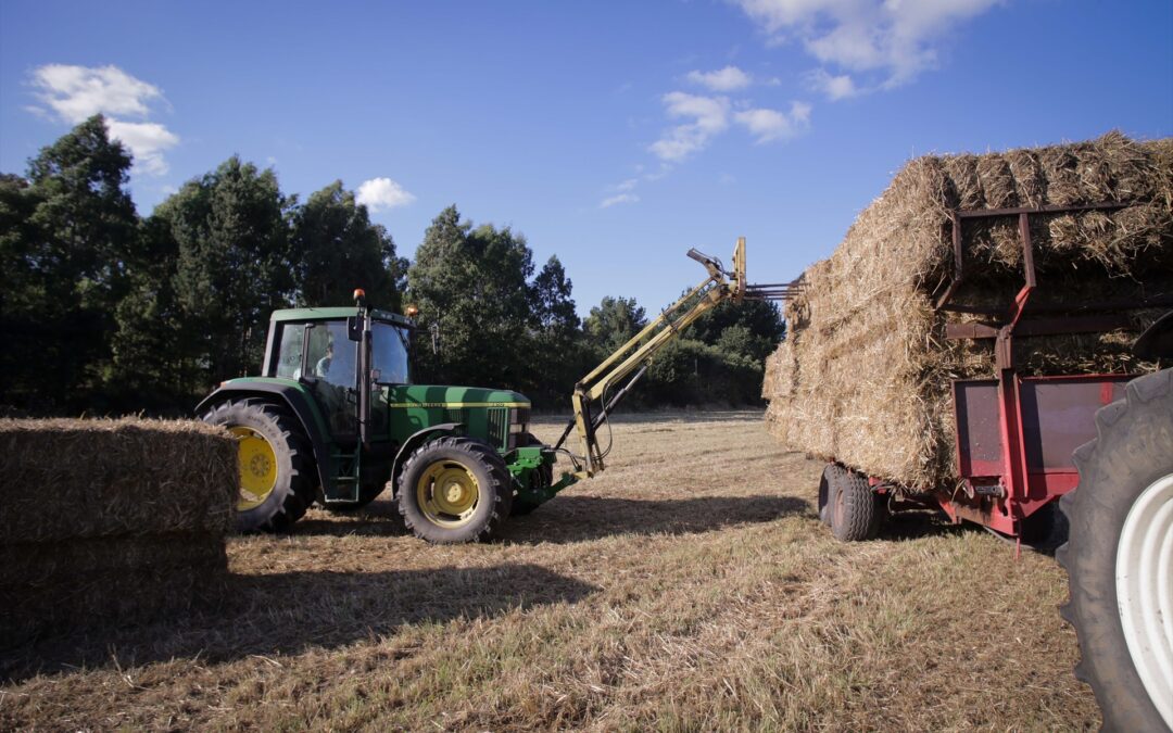 Un nuevo corredor hacia el Báltico para el grano ucraniano
