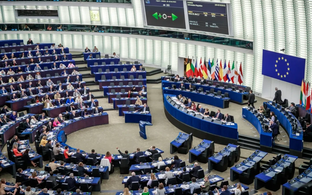 Una votación en el Parlamento Europeo en Estrasburgo, Francia. EFE-EPA/Christophe Petit Tesson