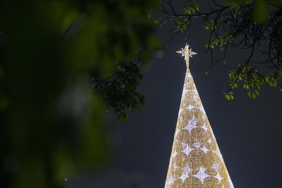 Fotografía de un árbol de Navidad. Isaac Fontana / EFE