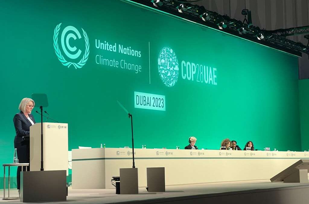 Krišto na COP28 u Dubaiju: Samo zajedno možemo ostvariti promjene i sačuvati planetu