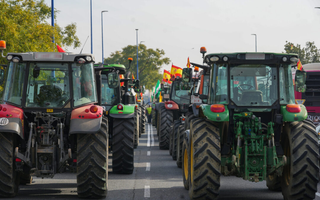 España insta a la UE a ofrecer soluciones a los agricultores