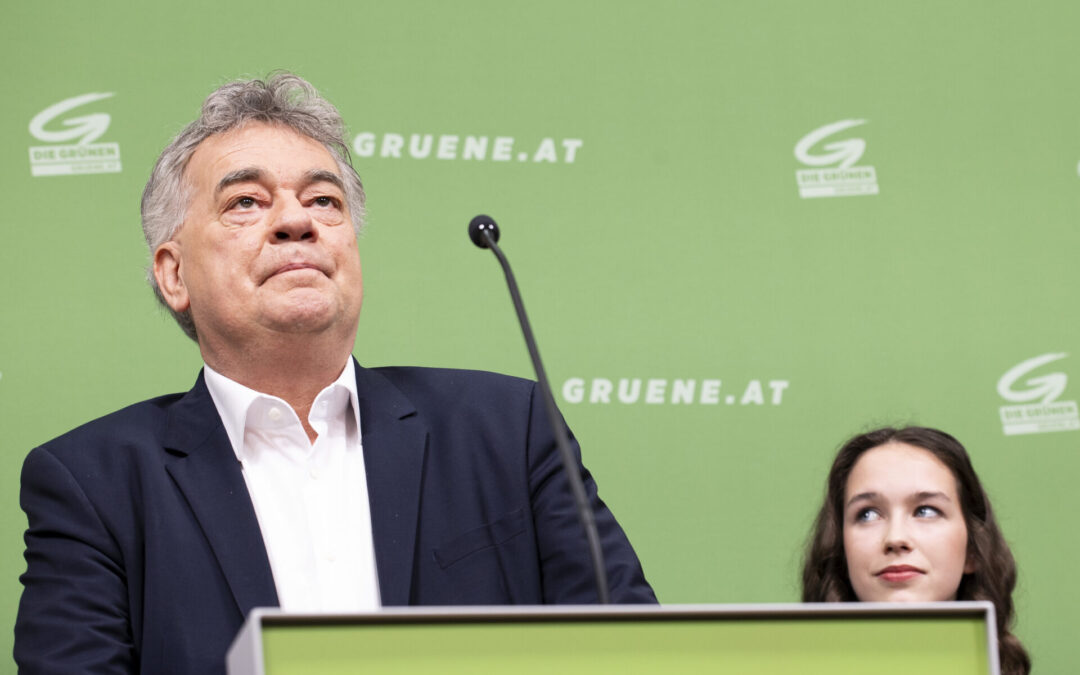 EU-Wahl: Grüne beklagen Kampagne gegen Spitzenkandidatin