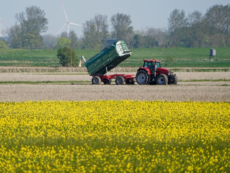 La UE flexibiliza las normas sobre subvenciones agrícolas en un intento por aliviar la presión sobre los agricultores