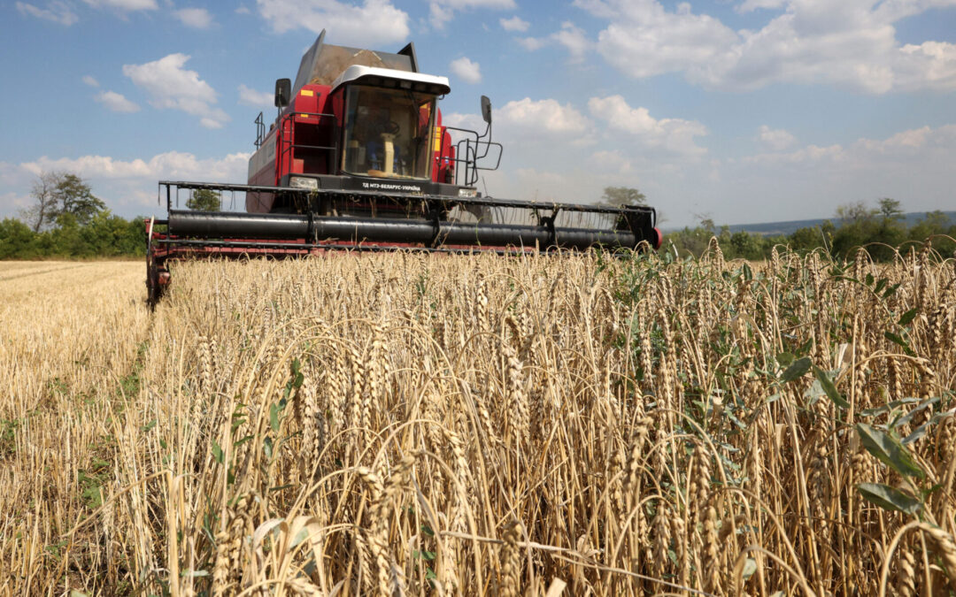 Agriculture : la PAC sera chamboulée par une adhésion de l’Ukraine à l’UE, selon un rapport