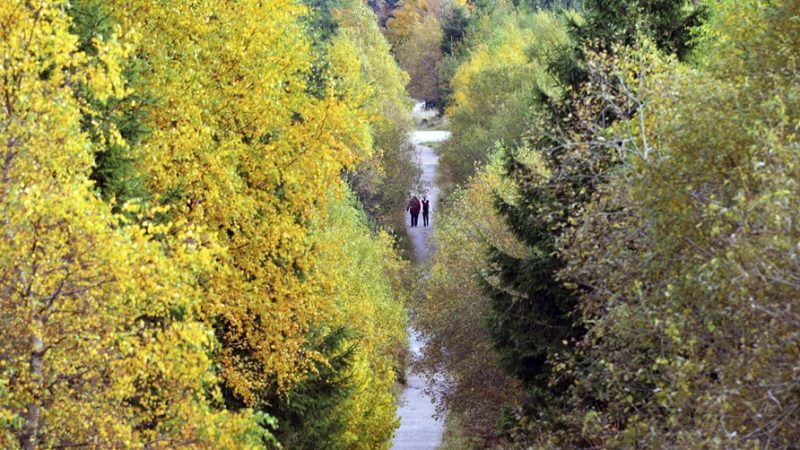 Natuurherstelwet dan toch goedgekeurd na bocht van Oostenrijk