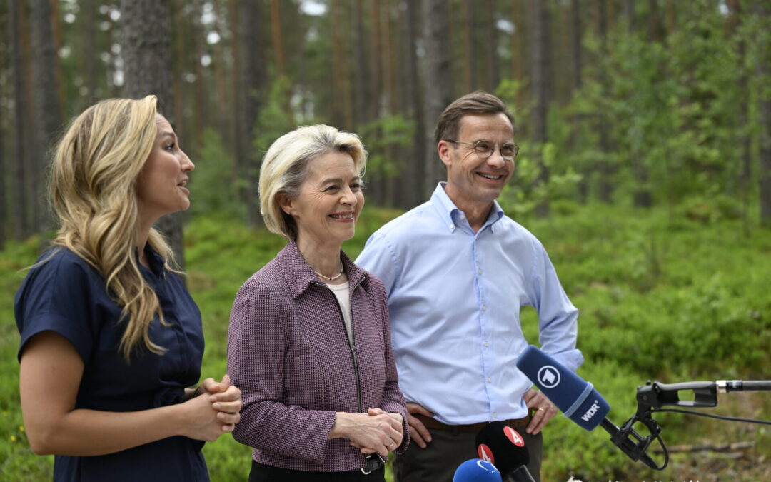 von der Leyen söker svenskt stöd