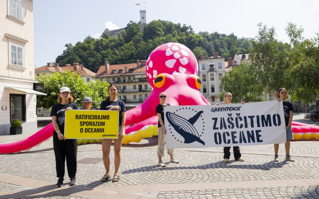 Slovenski nevladniki pristojne pozvali k ratifikaciji sporazuma ZN o oceanih