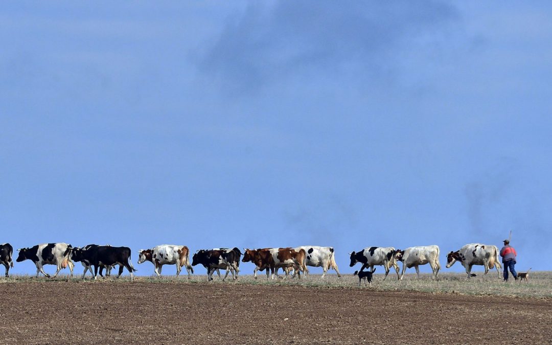 Българка е сред финалистите за Наградите на ЕС за органични продукти за 2024 г