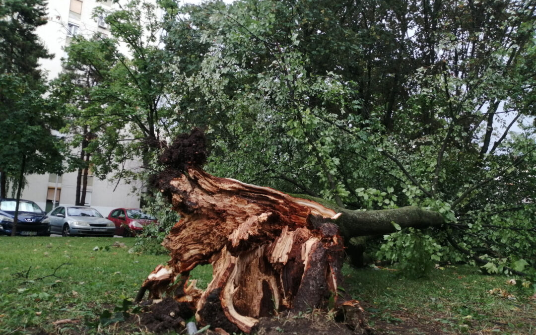 Les Européens ne se sentent pas bien préparés aux catastrophes