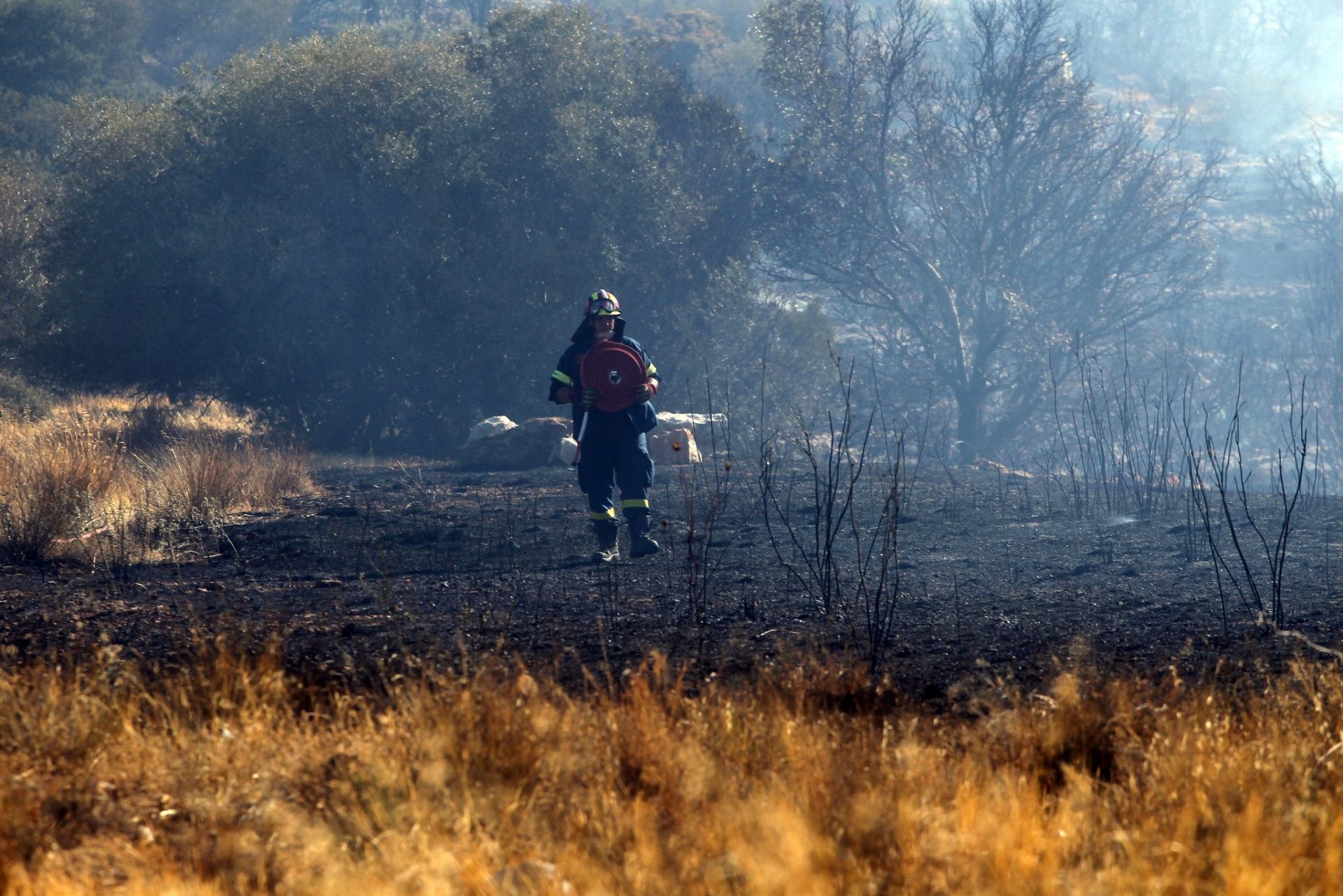 El 49% de los portugueses se sienten vulnerables a los incendios forestales