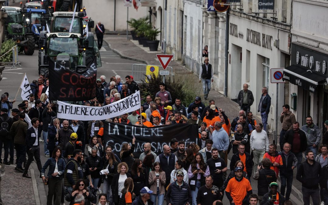 Pékin fait payer les importateurs de cognac, en plein bras de fer avec Bruxelles
