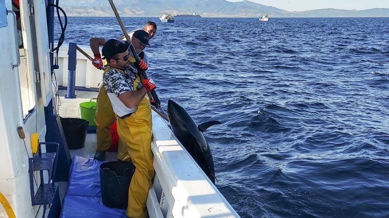 España busca bloquear el plan de Bruselas para la pesca en el Mediterráneo