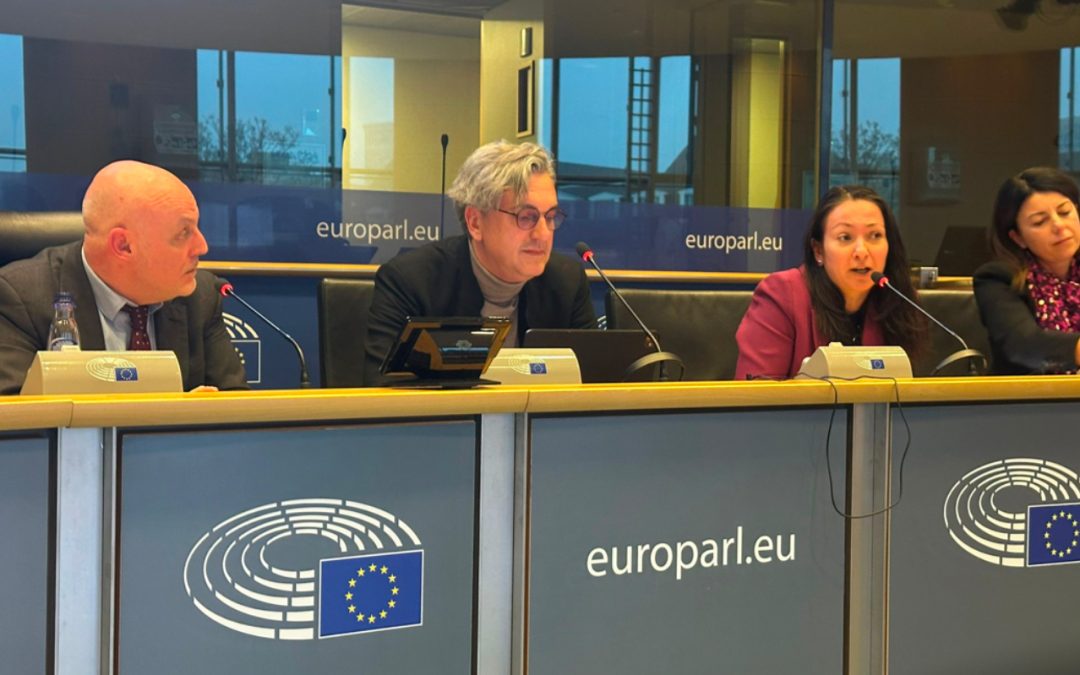 Čadež: Potrebno nam je poverenje i zajednički rad sa EU na projektu Jadar