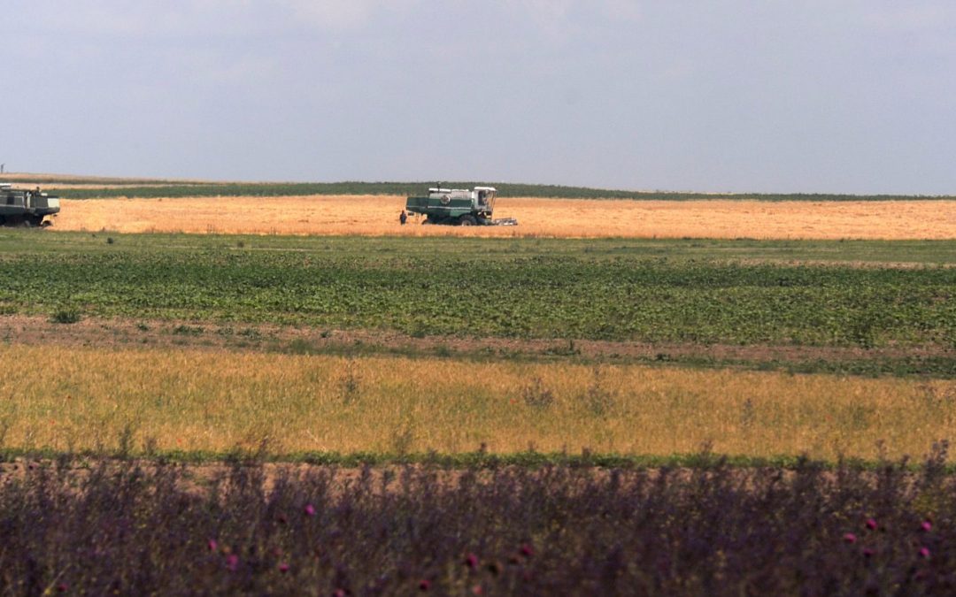 România concentrează 23% din forţa de muncă în agricultură din UE (raport)