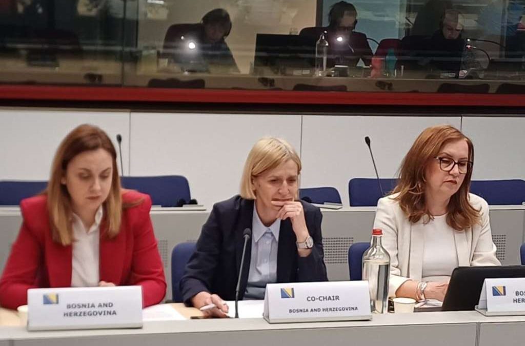 Sastanak Pododbora za ekonomska i finansijska pitanja i statistiku između Evropske unije i Bosne i Hercegovine (Foto: FENA/Evropska komisija)