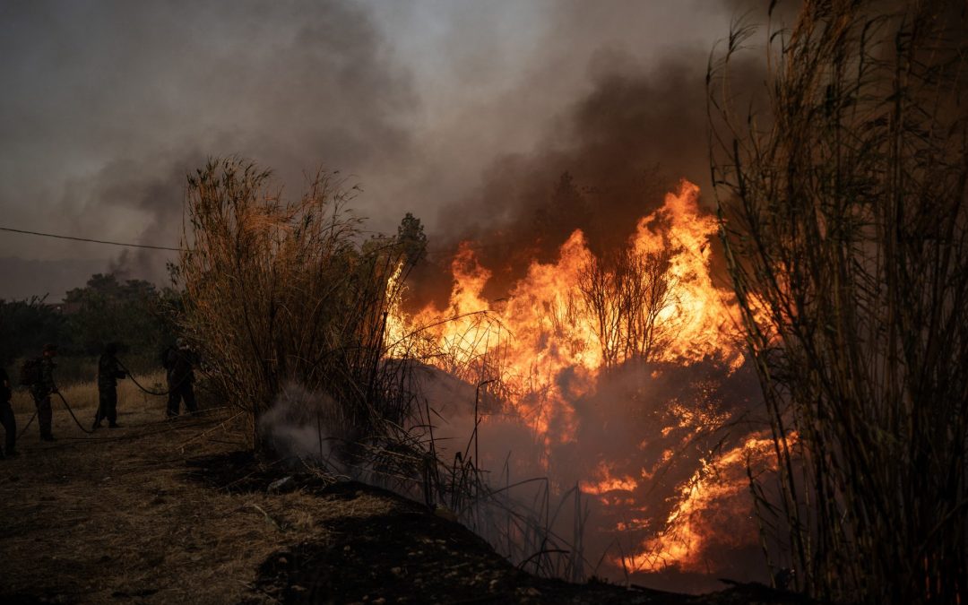 Prévention des feux de forêt : des fonds européens à l’impact incertain, regrette un rapport