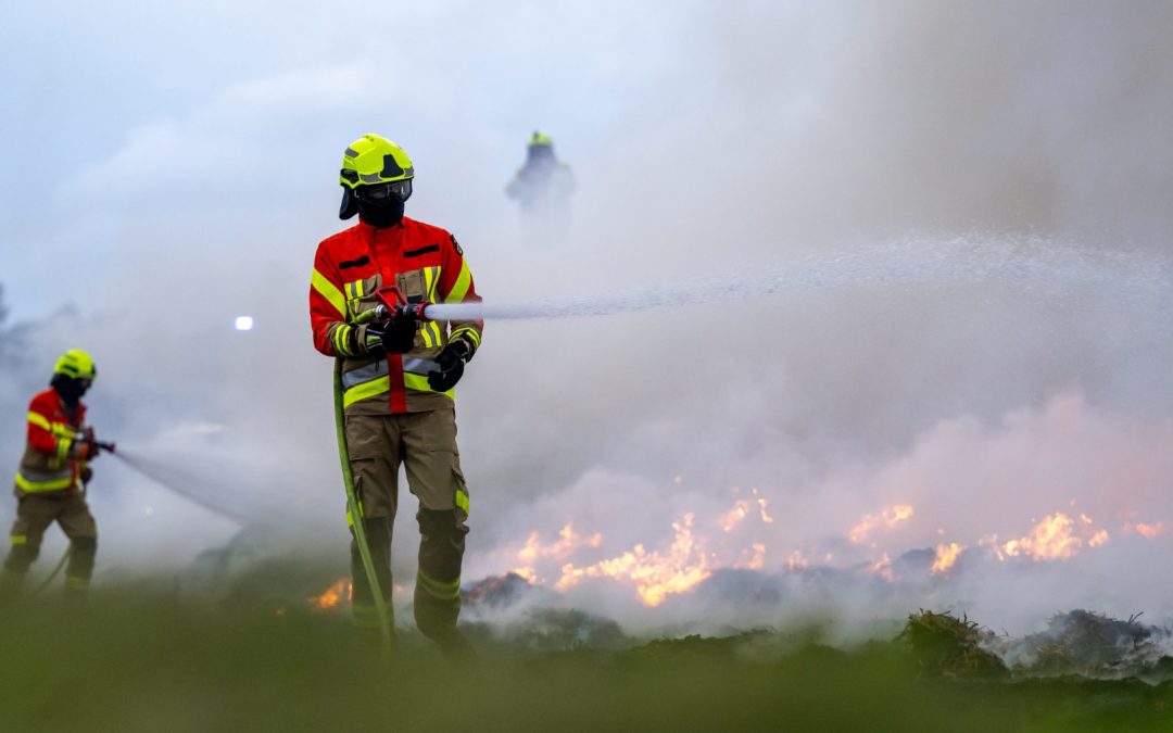 Von Portugal bis Bulgarien: Europa rüstet sich für die Waldbrandsaison