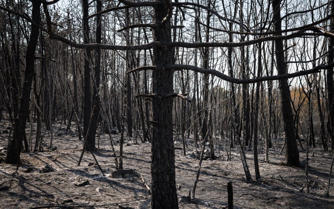 Eurobarometer: Za Slovence podnebne spremembe resna grožnja