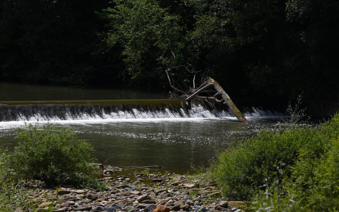 España debe destinar 0,81% PIB para lograr objetivo mediambiental de la UE, dice la CE