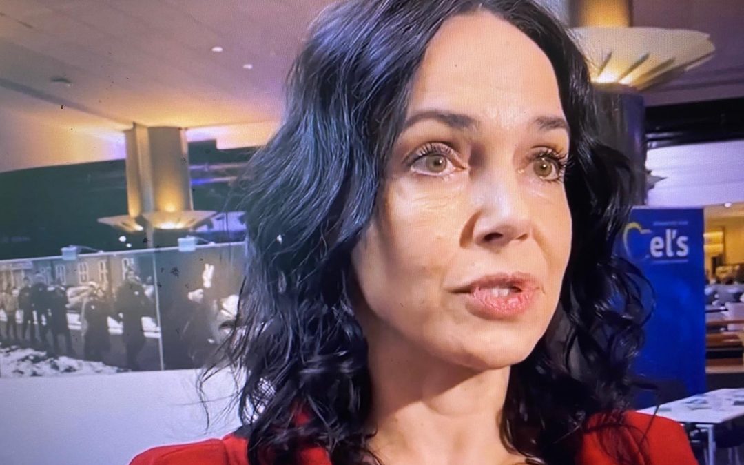 EP prijal na podnet Lexmann uznesenie o vývozných obmedzeniach surovín z Číny