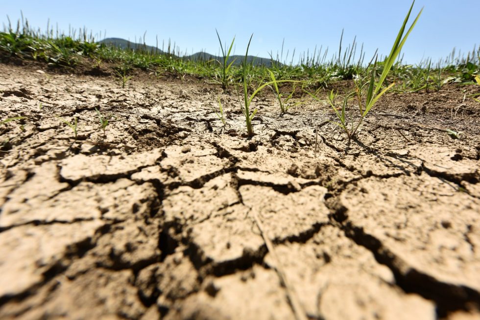 Objetivo de emisiones para 2040: hacia dónde se dirige la política climática de la UE