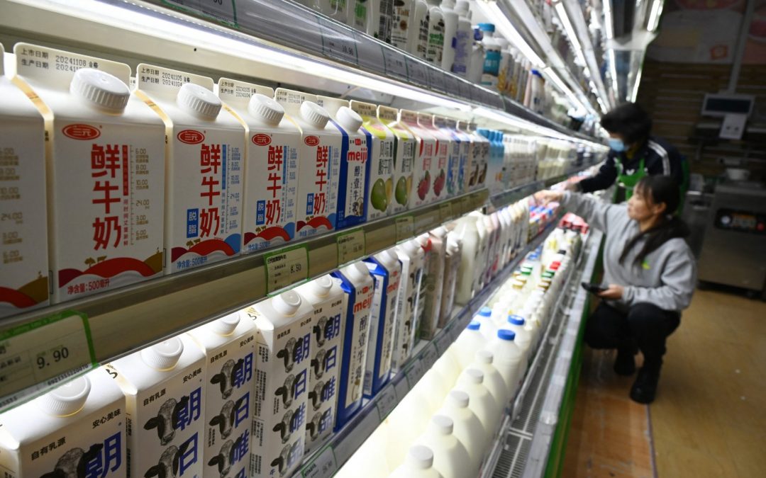 Concurrence : la Chine prolonge son enquête sur les produits laitiers européens