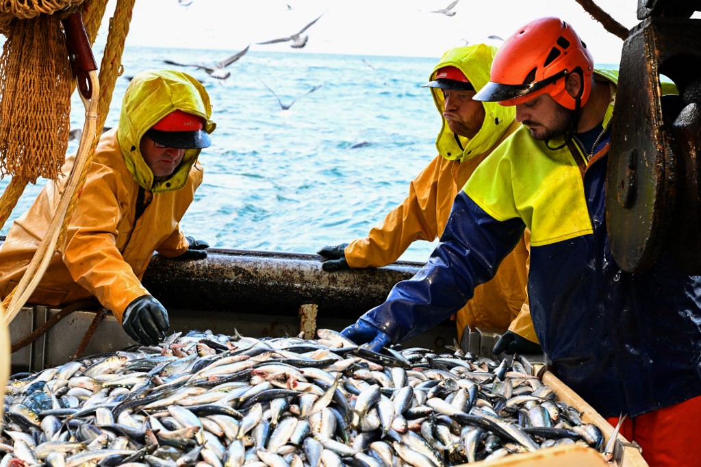 Illegal fishing: NGOs highlight gaps in import controls in the EU