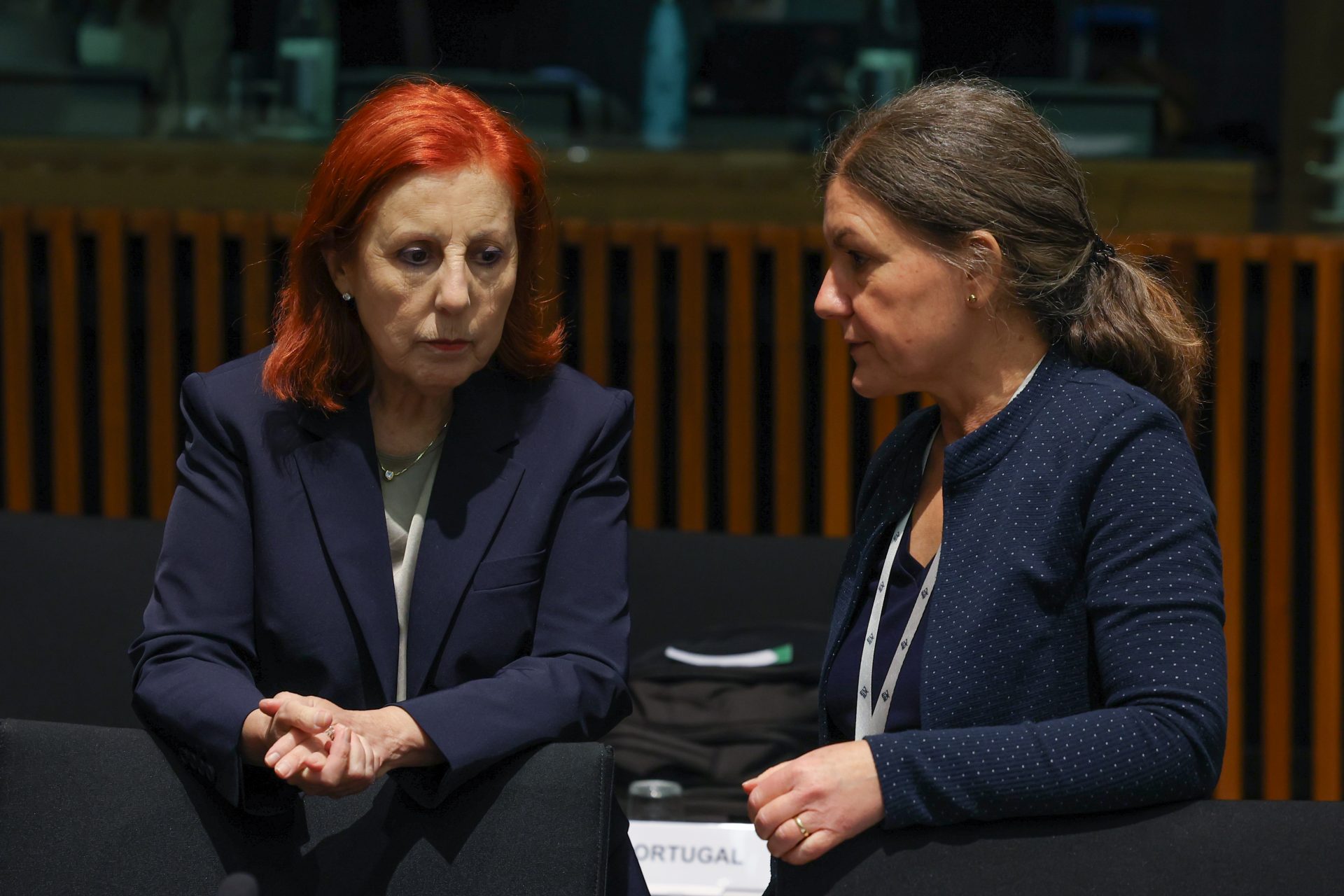 Government asks the EU to strengthen the E-Lar program with 50 million euros