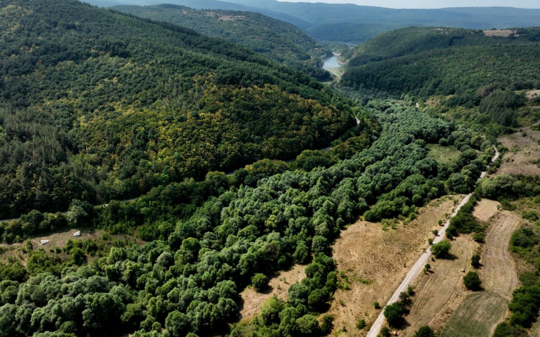 ЕК ще финансира четири проекта за опазването на околната среда в България