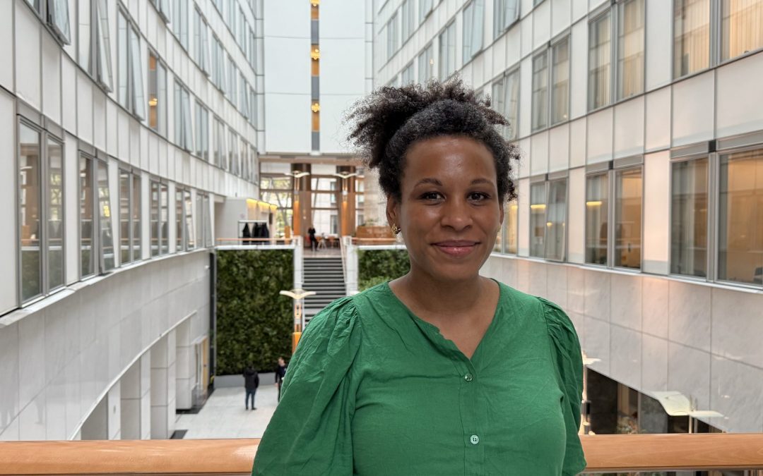 From Social Media to the Multiannual Financial Framework:   enr Interview with the Chairwoman of the European Parliament’s CULT committee