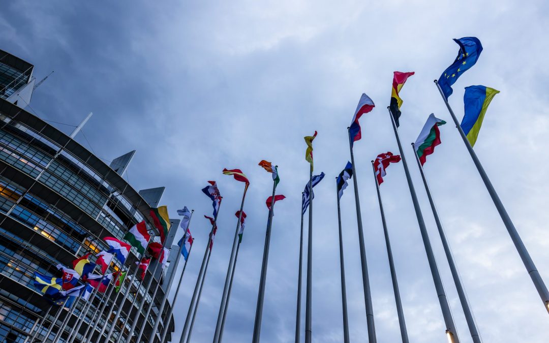 Die Flaggen der Europäischen Union und ihrer Mitgliedsstaaten wehen vor dem Gebäude des Europäischen Parlaments in Straßburg. Foto: picture alliance/dpa | Philipp von Ditfurth