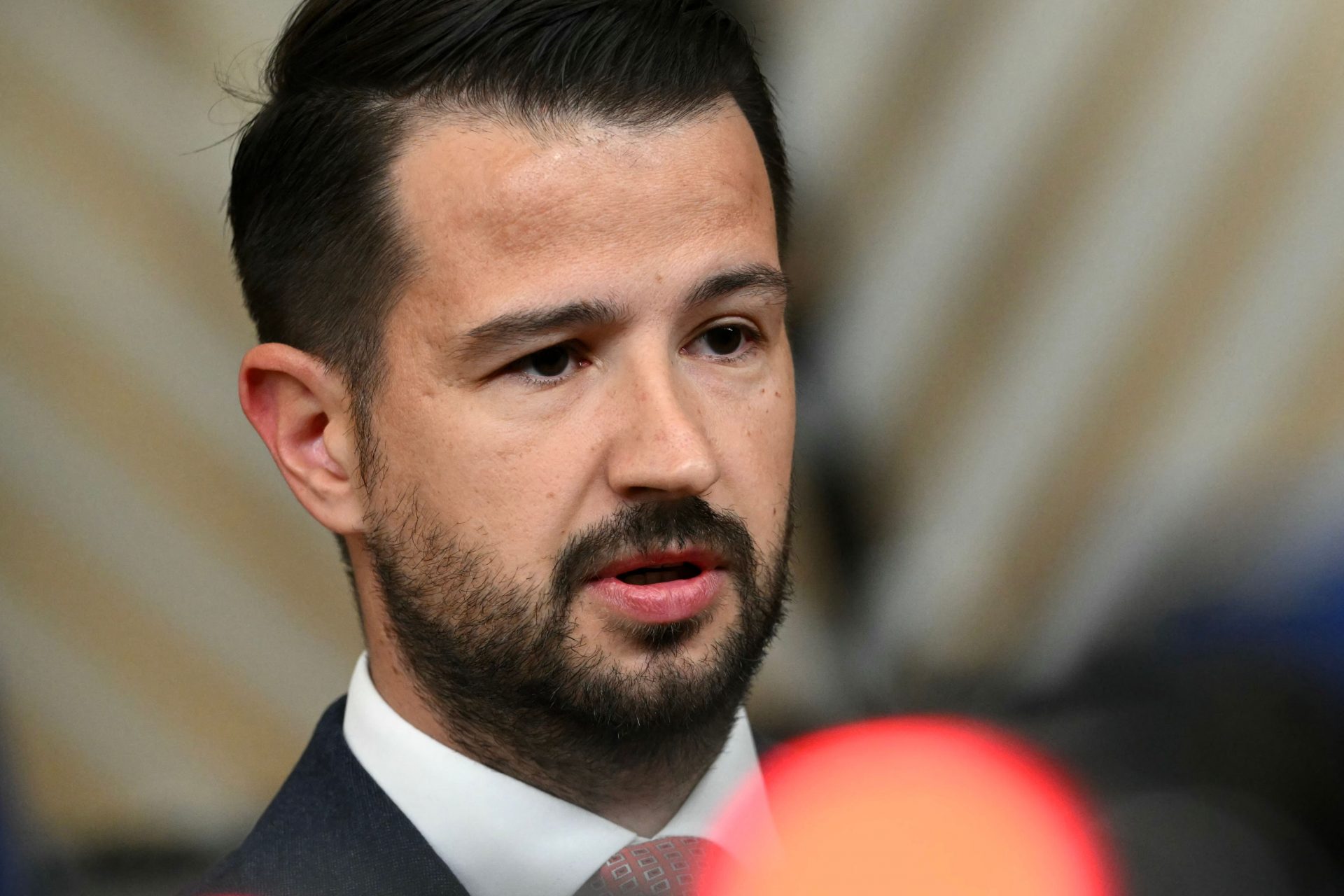 Political leadership of EU candidate Montenegro visiting the Vienna New Year’s Concert