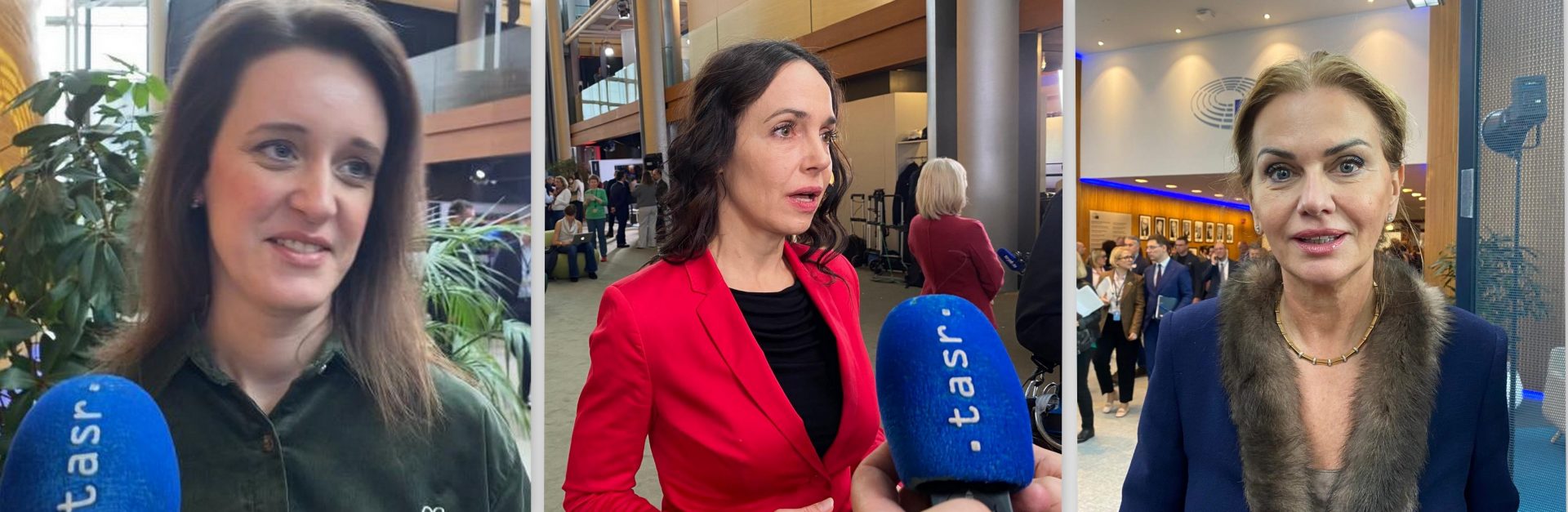 Slovak MEPs have different views on the ban on imports of Russian gas into the EU