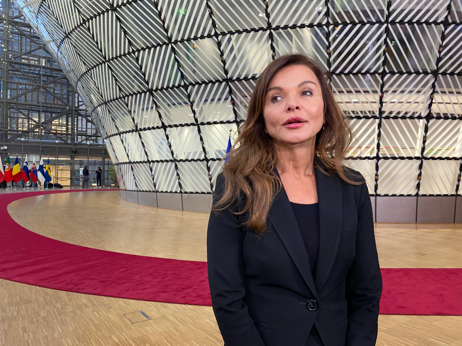 Žiláková: The EU Council is pushing for mandatory technical inspections of older cars every two years