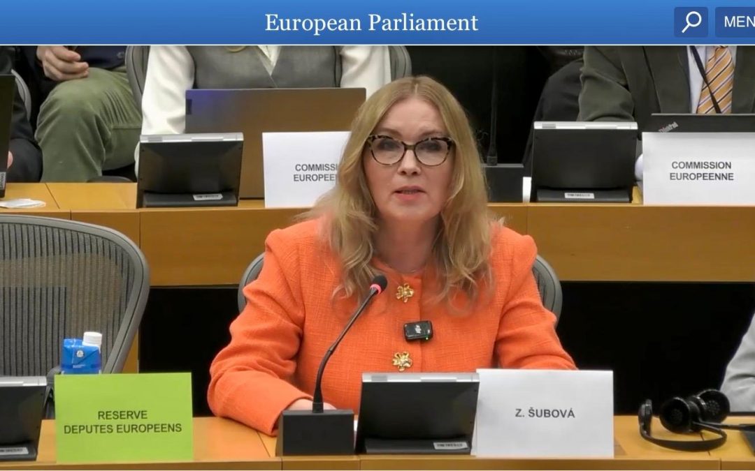 Komisioni i PE për Kontrollin Buxhetor trajtoi respektimin e interesave financiare të BE-së në Sllovaki